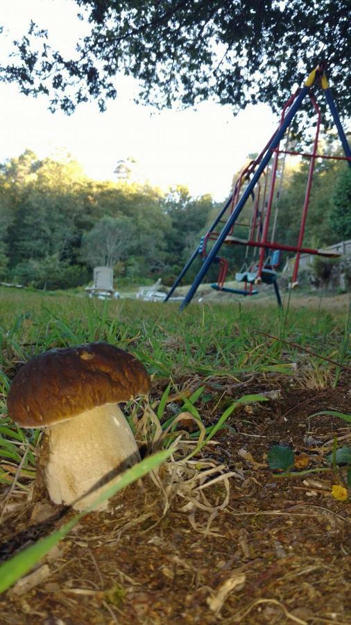 Estacas Casa D'Agostoヴィラ エクステリア 写真